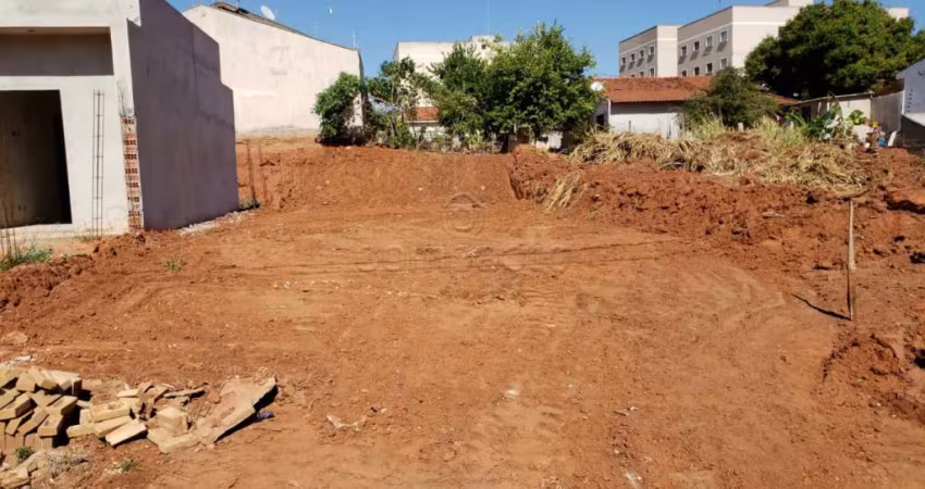 Terreno Padrão