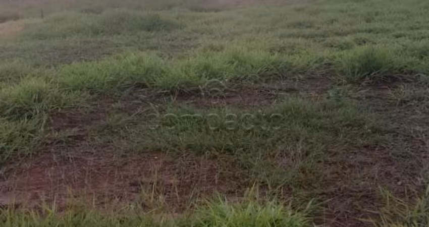 Terreno Padrão