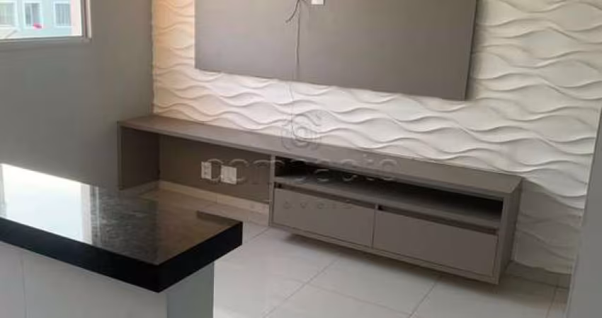 Apartamento Padrão em São José do Rio Preto