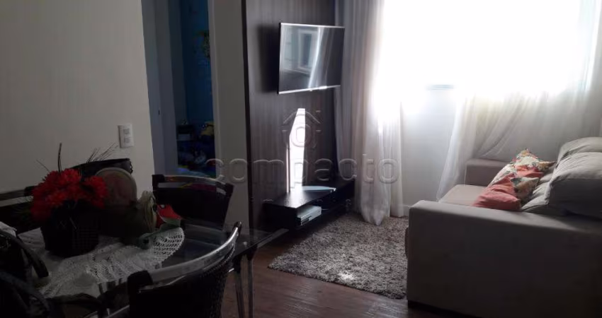 Apartamento Padrão em São José do Rio Preto