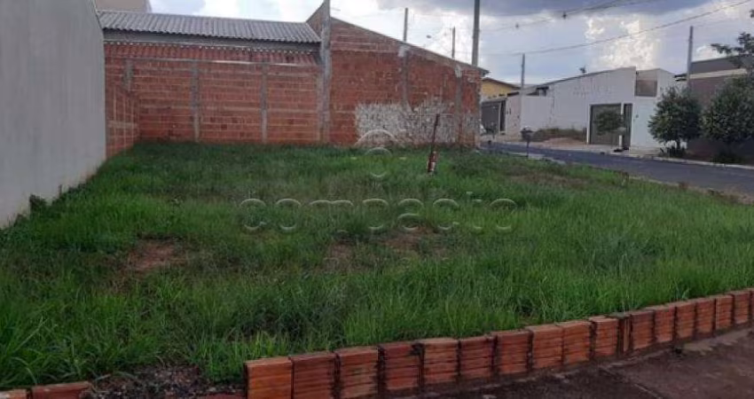 Terreno Padrão em Cedral