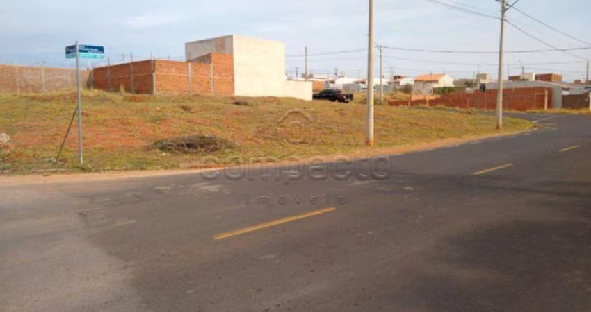 Terreno Padrão em São José do Rio Preto