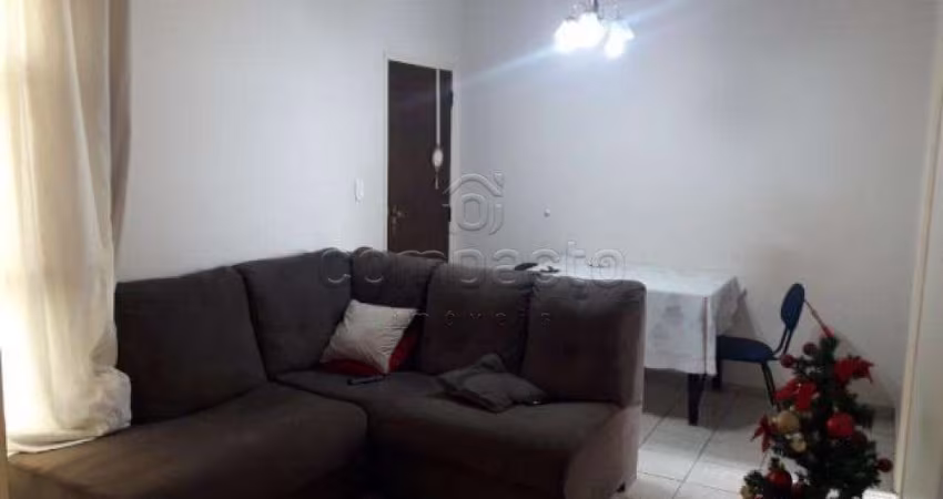 Apartamento Padrão em São José do Rio Preto