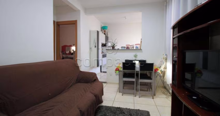 Apartamento Padrão em São José do Rio Preto