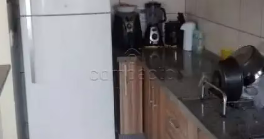Apartamento Padrão em São José do Rio Preto