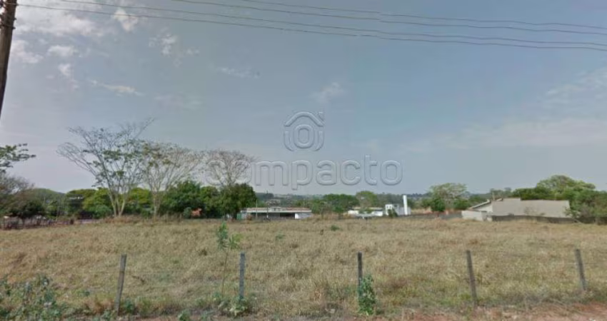 Terreno Padrão em Cedral