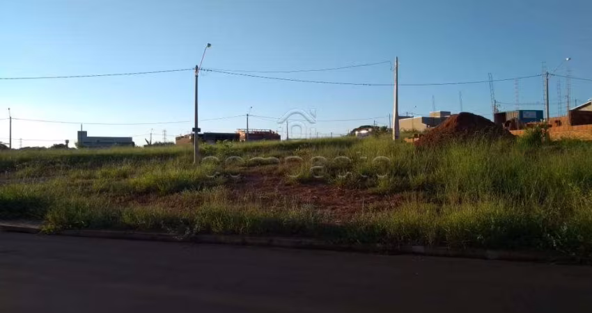 Terreno Padrão em São José do Rio Preto