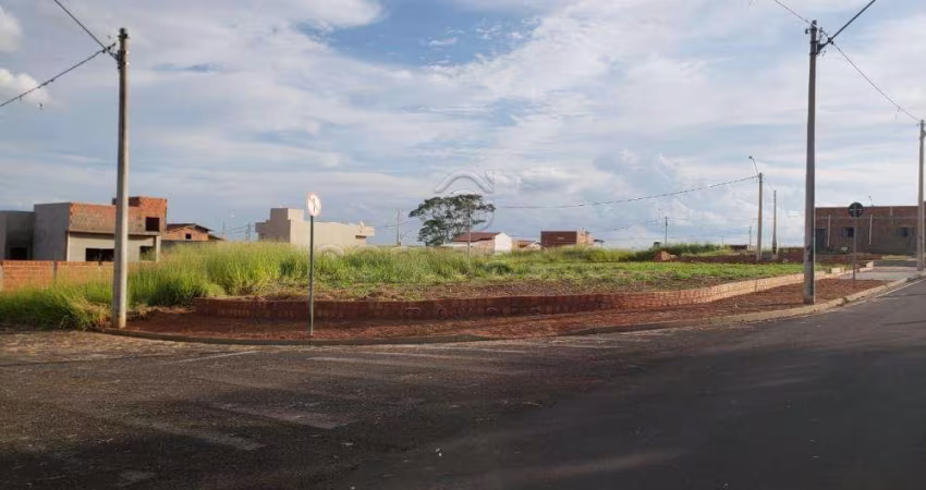 Terreno Padrão em Mirassol