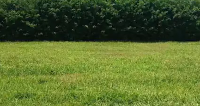 Terreno em condomínio fechado à venda na Terras da Barra, Mendonça 
