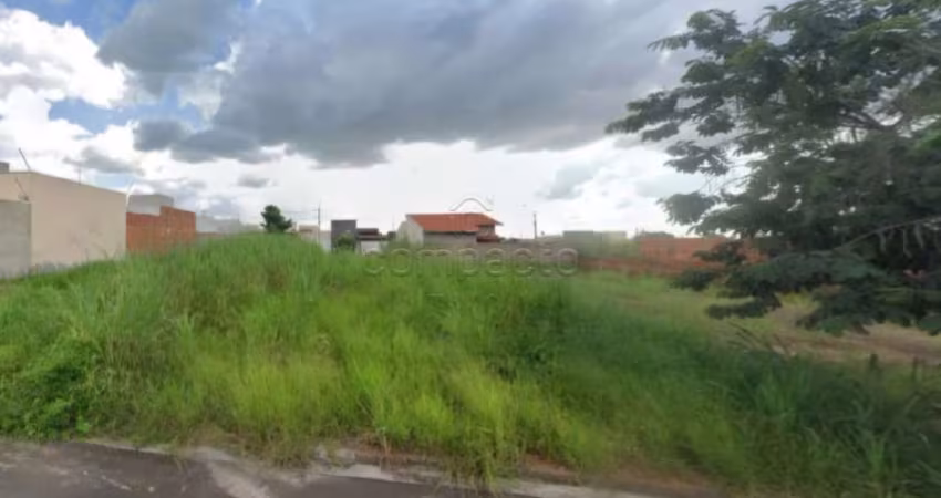 Terreno Padrão em São José do Rio Preto