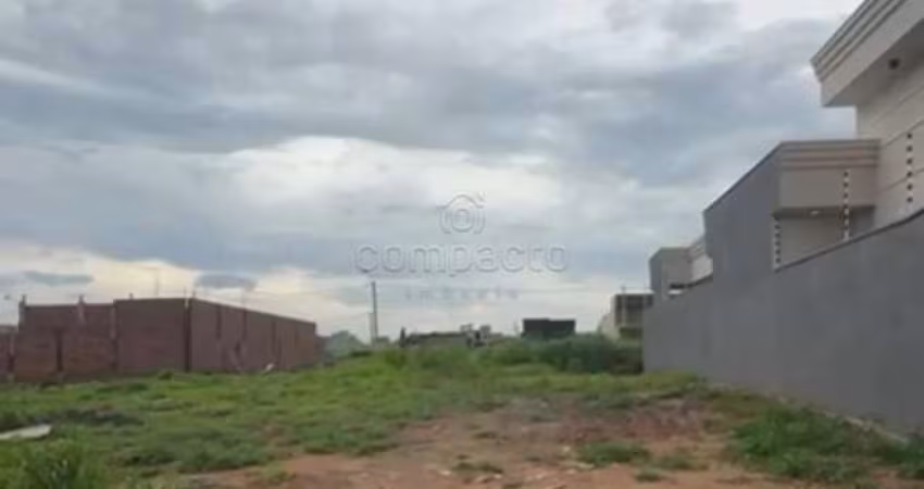 Terreno Padrão em Bady Bassitt