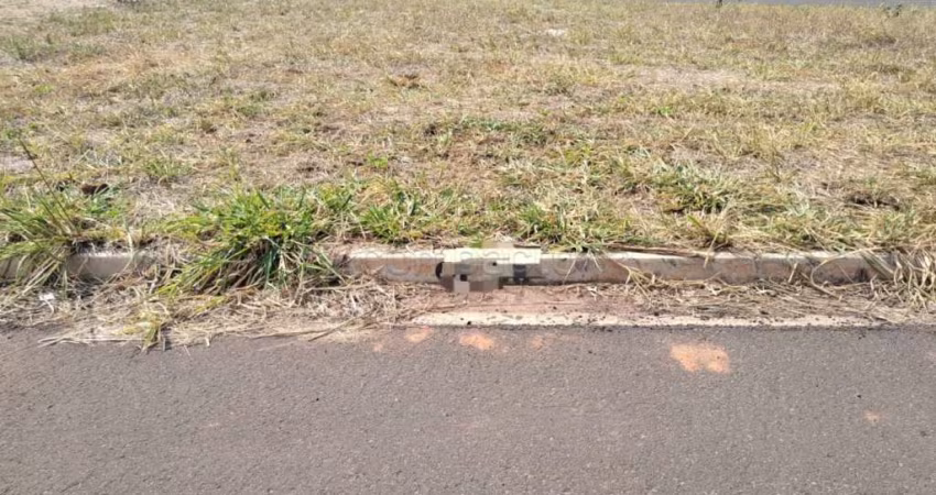Terreno Padrão em Bady Bassitt