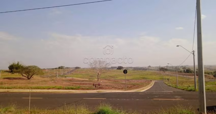 Terreno Padrão em São José do Rio Preto