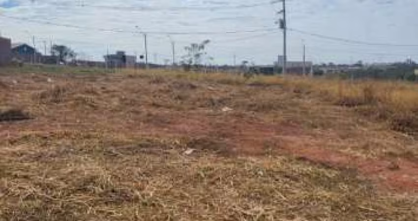 Terreno Padrão em São José do Rio Preto