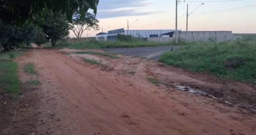 Terreno Padrão em São José do Rio Preto