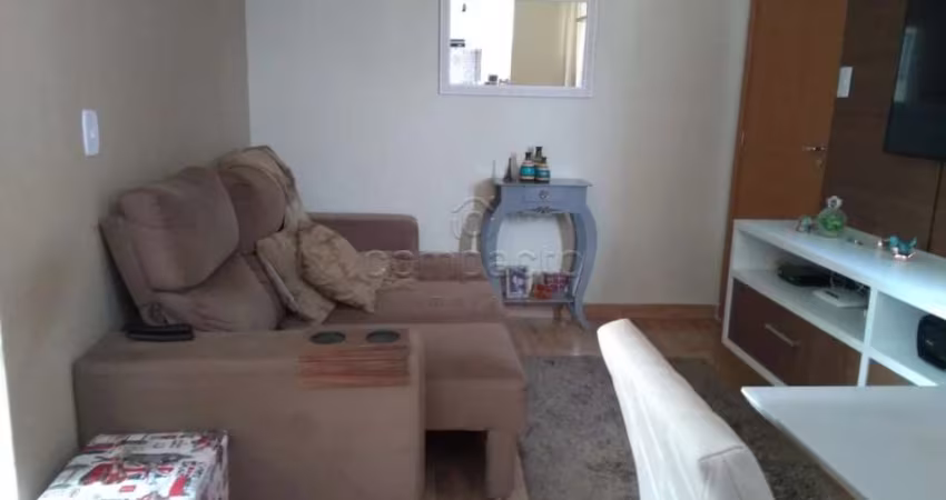 Apartamento Padrão em São José do Rio Preto