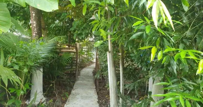 Terreno à venda no Centro, Soure 