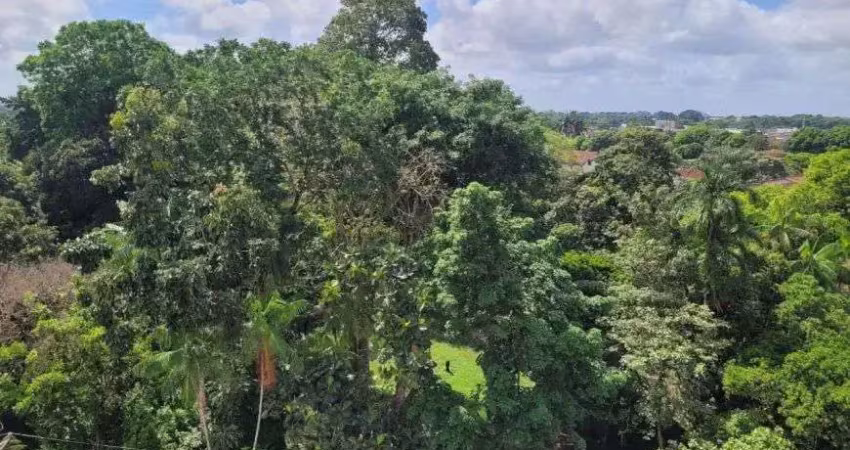 Apartamento com 3 quartos à venda na Rodovia do Mário Covas, 1500, Coqueiro, Ananindeua