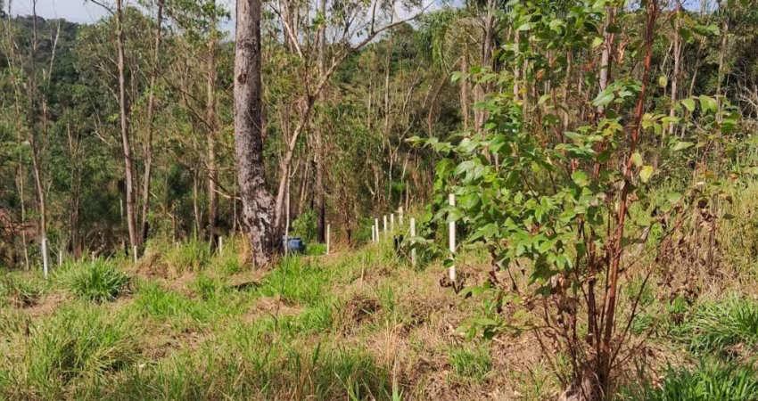 Terreno de 1000 metros Parque Florestal