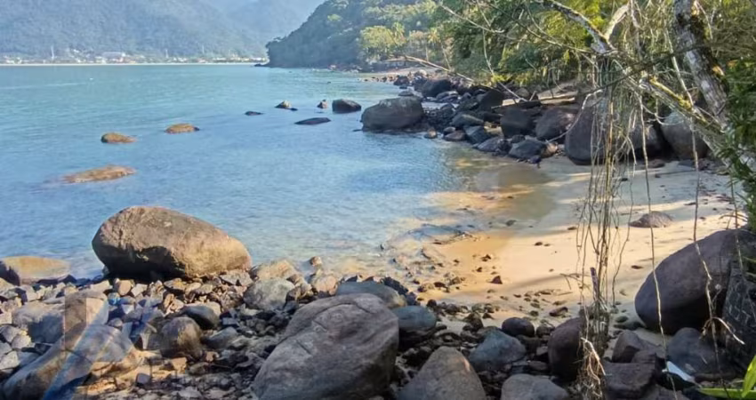 Ubatuba, Praia do Bonete / Lagoinha - Frente Mar, área com 68.505 m2, com Licenciamento Ambientar.