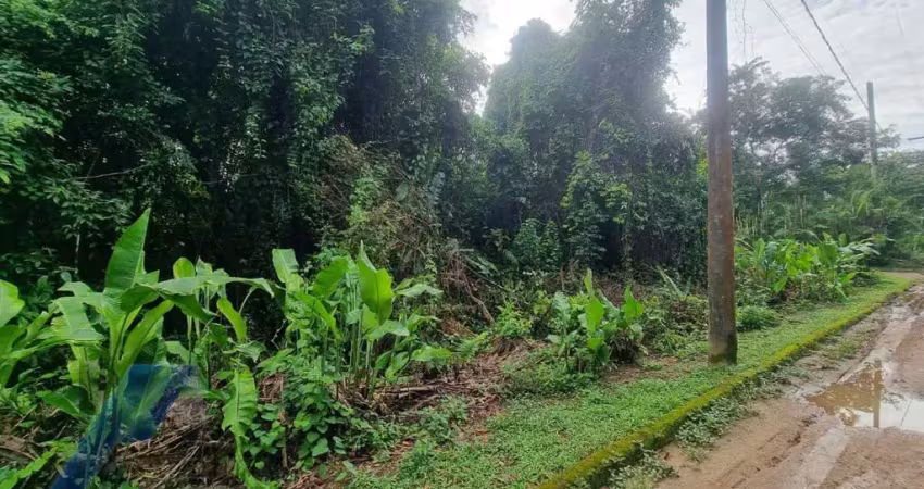 Ubatuba, itamambuca - lote com 518,00 mts2, escritura definitiva, sem liberação ambiental em condomínio segurança 24 hs.
