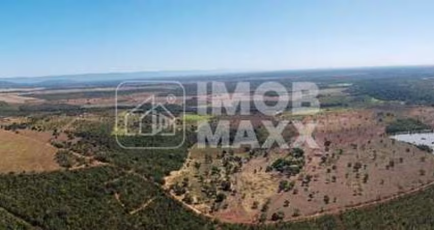Fazenda a venda em Formosa: 281 hectares, água perene, dupla aptidão - escriturada e registrada.