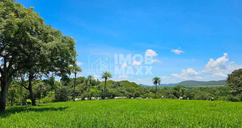 Faz. Formosa/GO 264 hectares 8 minas D`água c/financiamento