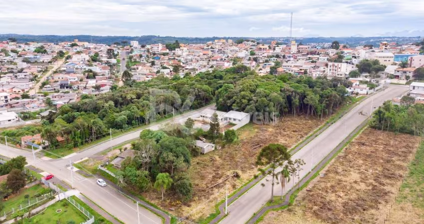 FLORESTA - Guebur - Guebur