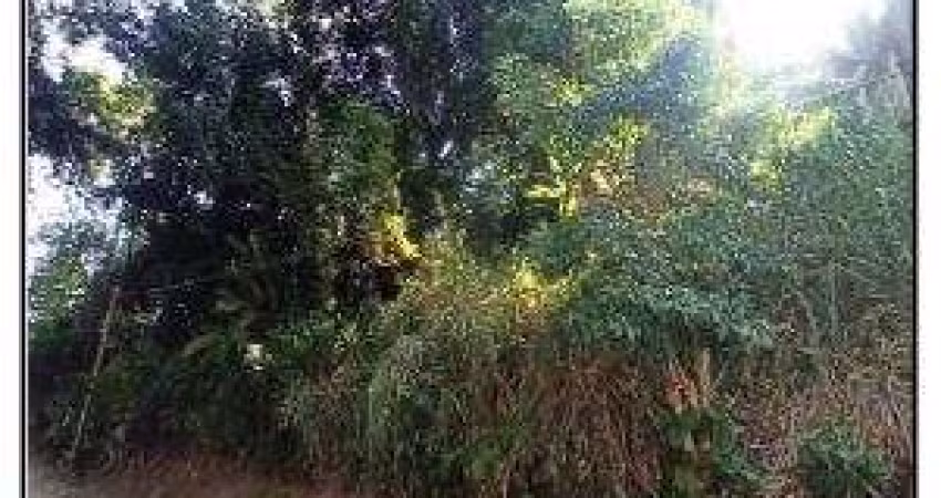Oportunidade Única em MANGARATIBA - RJ | Tipo: Terreno | Negociação: Venda Online  | Situação: Imóvel