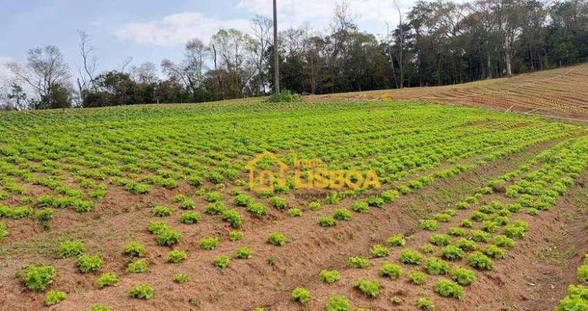 Terreno à venda, 19000 m² por R$ 400.000,00 - Jardim Do Pinhal - Pinhalzinho/SP