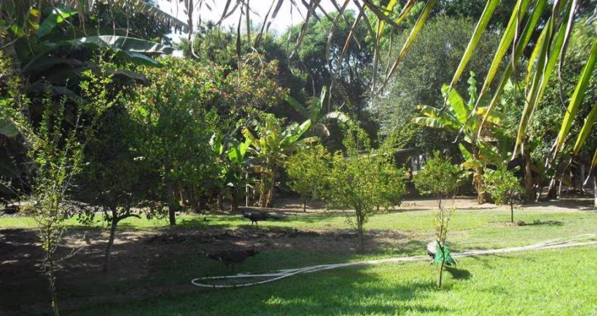 Venda - Chácara - Jardim Santa Alice - Santa Bárbara D'Oeste - SP