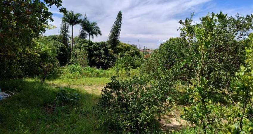 Venda - Chácara - Jardim Santa Alice - Santa Bárbara D'Oeste - SP