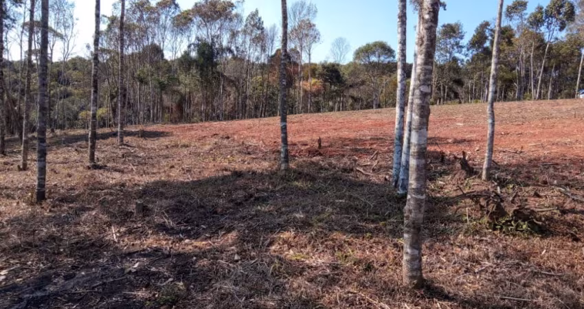 chácara 35.000,00m²