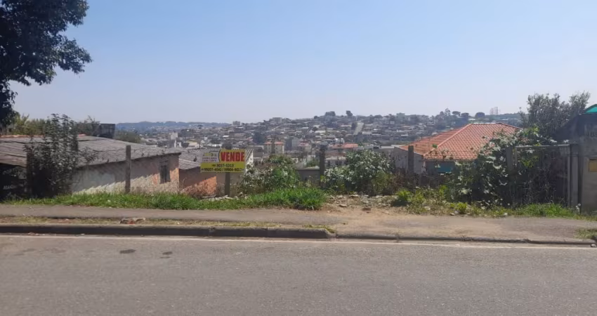 LOTE 12X40 vila são José