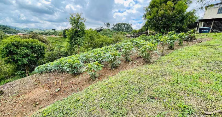 Chácara à venda, 7482.17 m2 por R$450000.00  - Colonia Antonio Prado - Colombo/PR