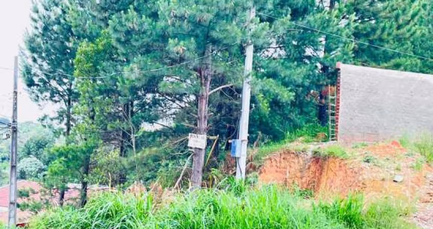 Terreno à venda, 1086.20 m2 por R$230000.00  - Embu - Colombo/PR
