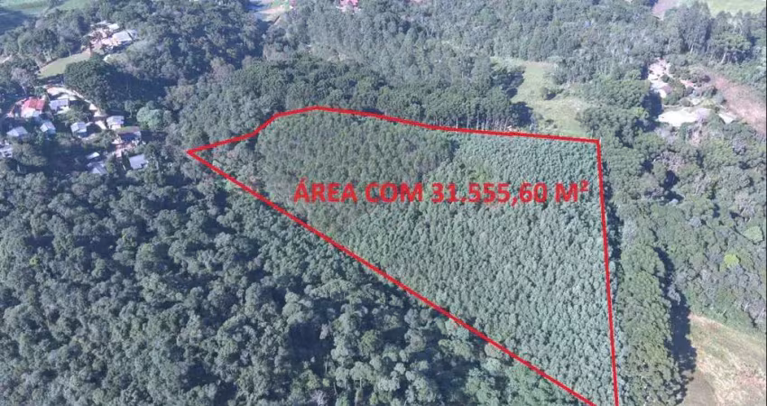 Área à venda, 0.00 m2 por R$250000.00  - Boichininga - Almirante Tamandare/PR