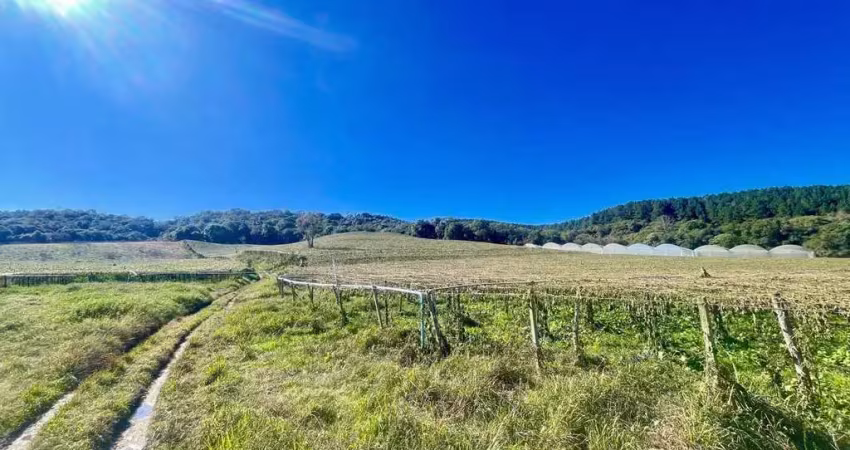 Área à venda, 51831.00 m2 por r$900000.00  - aguas fervidas - colombo/pr