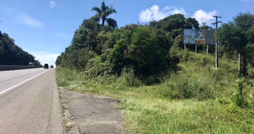 Área à venda, 121000.00 m2 por R$2200000.00  - Borda Do Campo - Sao Jose Dos Pinhais/PR