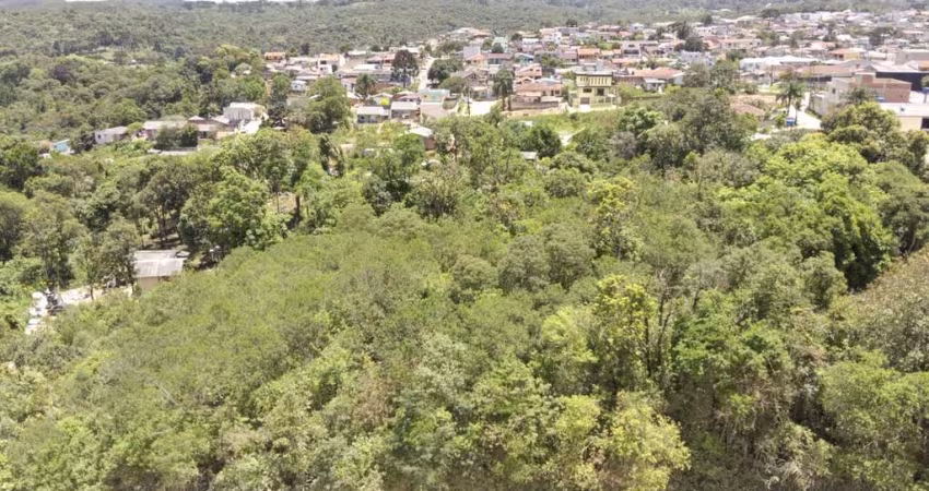 Terreno à venda, 12587.04 m2 por R$1200000.00  - Arruda - Colombo/PR