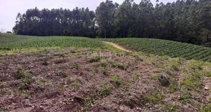 Terreno à venda no Rio do Pouso, Tubarão 