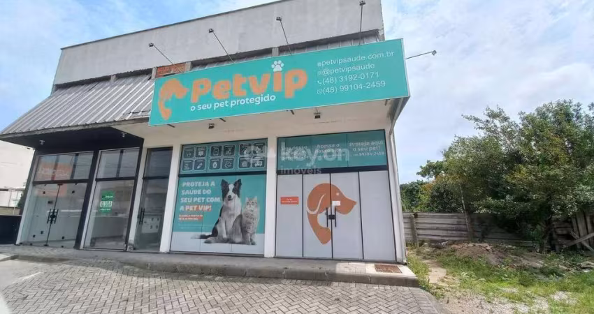 Sala para aluguel, Revoredo - Tubarão/SC