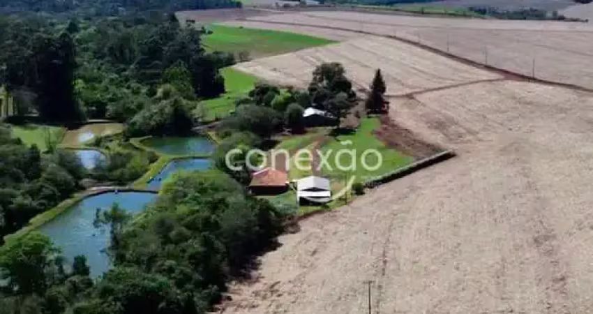 Chácara / sítio à venda na Área Rural de Toledo, Toledo 