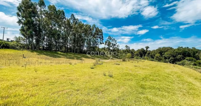 Área Rural à venda em Bom Princípio - Toledo