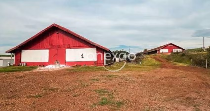 Chacara a venda com aviario, SEDE ALVORADA-CASCAVEL-PR