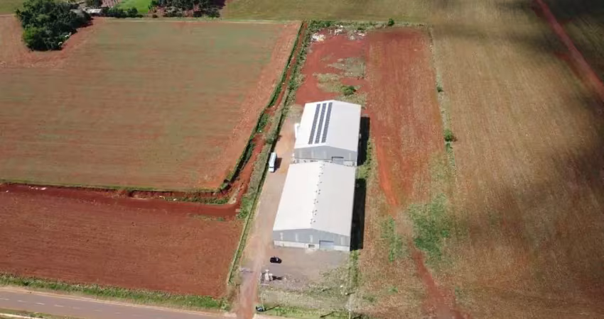 Área industrial com 2 barracões à venda na br 163 - toledo/pr
