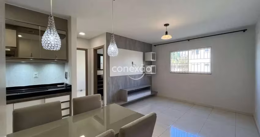 Apartamento para locação com 02 quartos, tocantins, toledo/pr