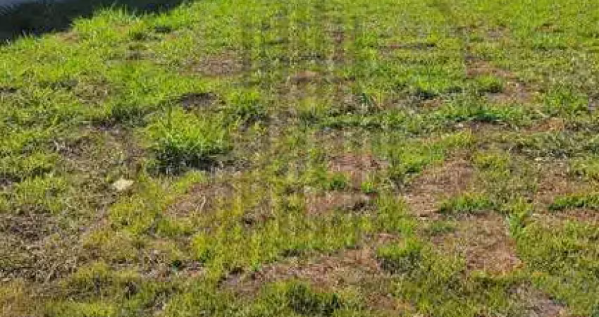 Terreno em condomínio fechado à venda na Avenida Presidente Vargas, Jardim Park Meraki, Indaiatuba