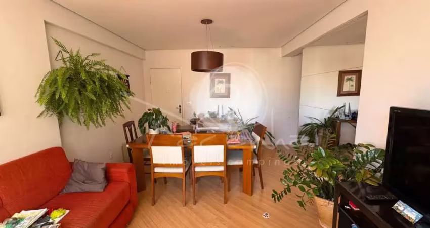 Apartamento para venda no cambuí em campinas - 3 quartos