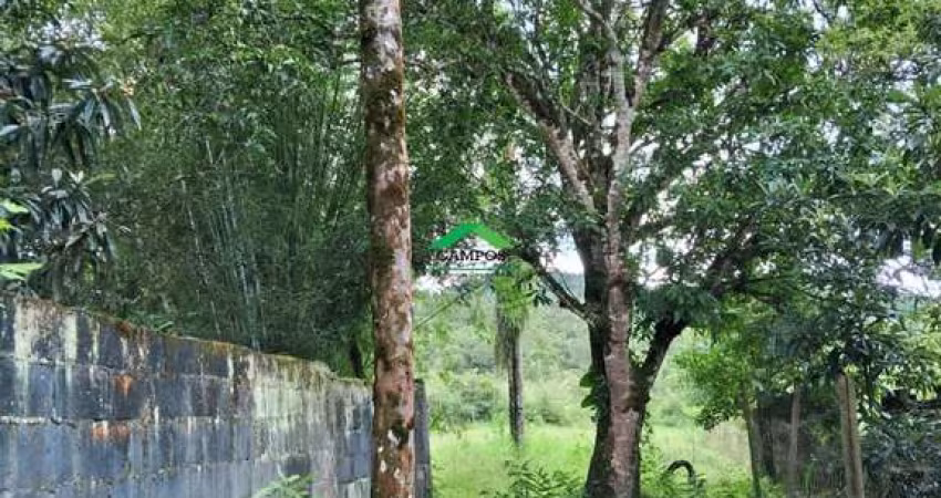 Terreno à venda em Monsenhor Horta, Mariana 